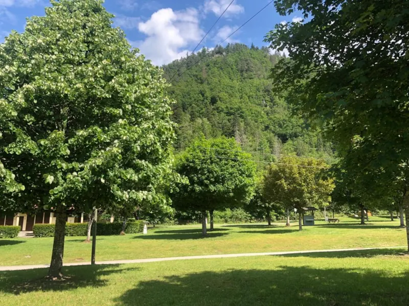 Forfait Camping (Emplacement, 2 Personnes, 1 Véhicule)