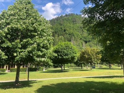 Camping package (pitch, 2 people, 1 vehicle)