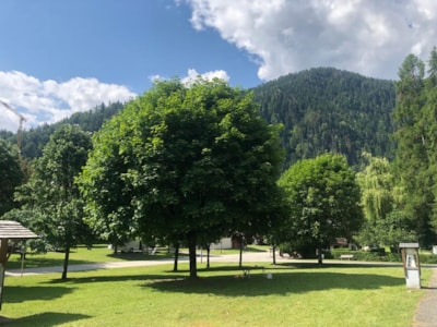 Camping package (pitch, 2 people, 1 vehicle)