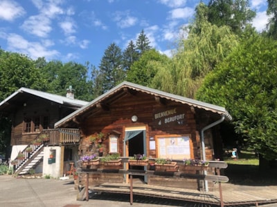 Camping package (pitch, 2 people, 1 vehicle)