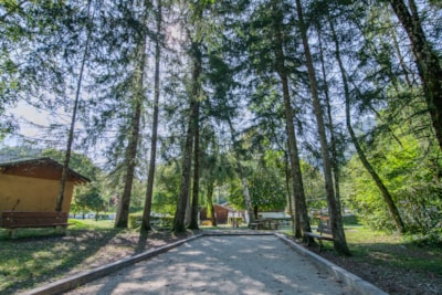 Camping Onlycamp Domelin