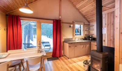 Montana 2-bedroom cabin