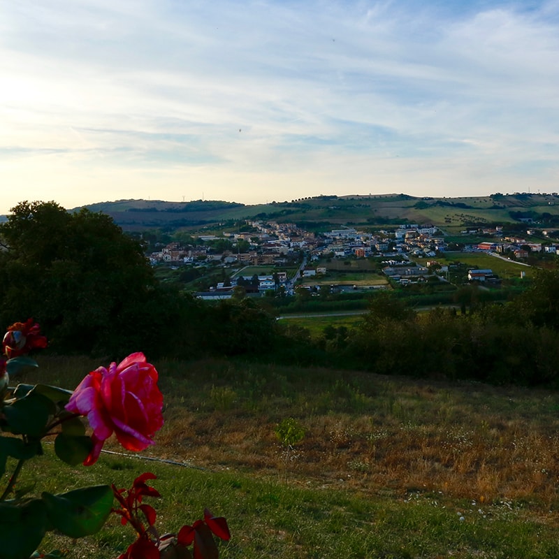 Agricampeggio Abbruzzetti — Foto 5
