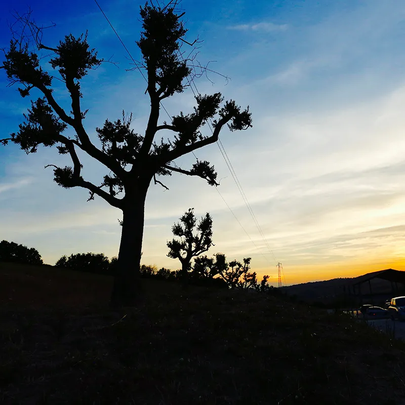 Agricampeggio Abbruzzetti