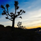 Foto #6 van Agricampeggio Abbruzzetti