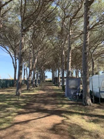 Stellplatz - Stellplatz (Kanadisches Zelt) - Campeggio Bocca di Cecina