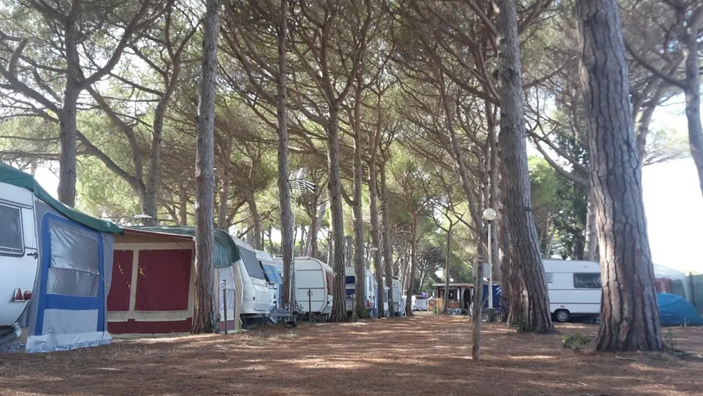 Campeggio Bocca di Cecina - image n°9 - Camping Direct