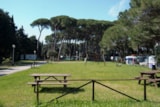 Foto #10 van Campeggio Bocca di Cecina