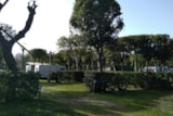 Foto #8 van Campeggio Bocca di Cecina