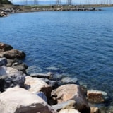 Foto #15 van Campeggio Bocca di Cecina