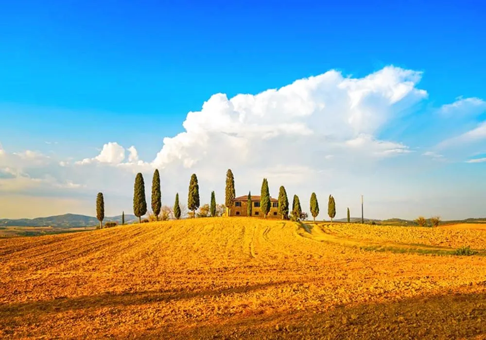 Campeggio Bocca di Cecina