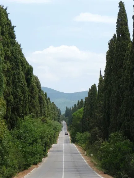 Campeggio Bocca di Cecina