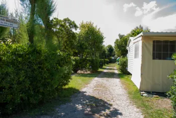 Stellplatz - Stellplatz Normal - Campeggio Bocca di Cecina
