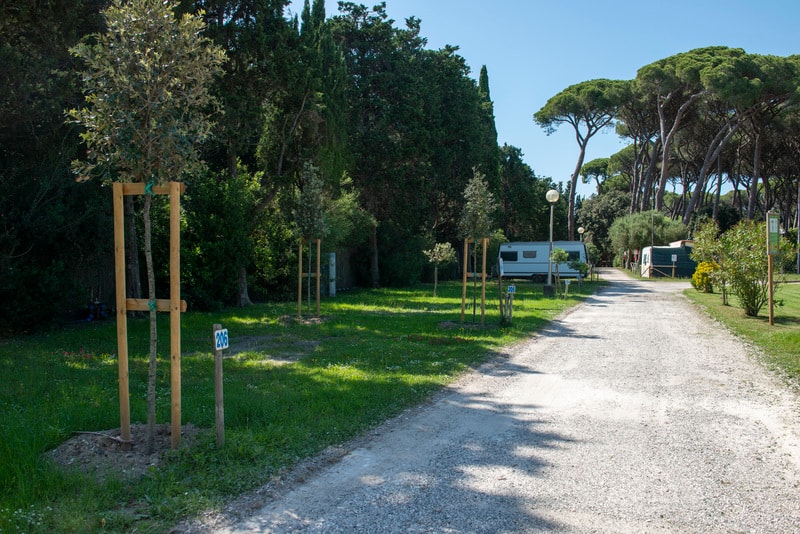Campeggio Bocca di Cecina - Photo 3