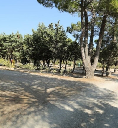 Pitch