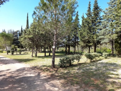 Camping Le Pinada