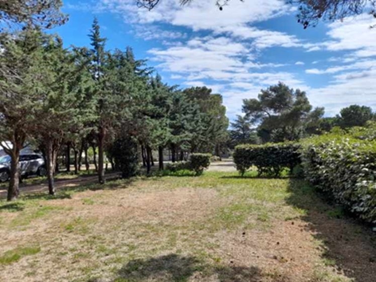 Camping Le Pinada — Photo 4