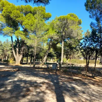 Kampeerplaats(en) - Standplaats - Camping Le Pinada