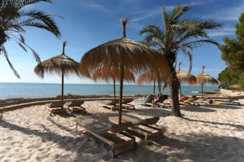 Camping Alfacs - MyCamping