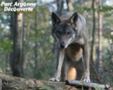 Foto #47 van Flower Camping La Samaritaine