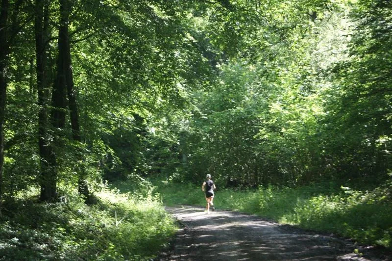 Flower Camping La Samaritaine