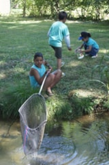 Foto #31 van Flower Camping La Samaritaine