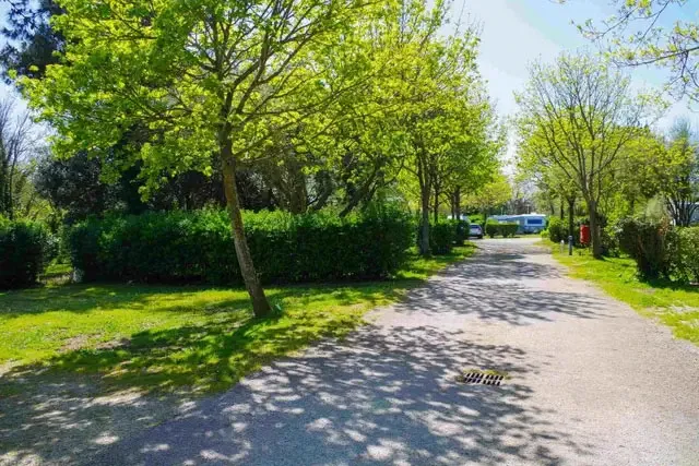 Emplacement 80M2 Sans Borne Électrique