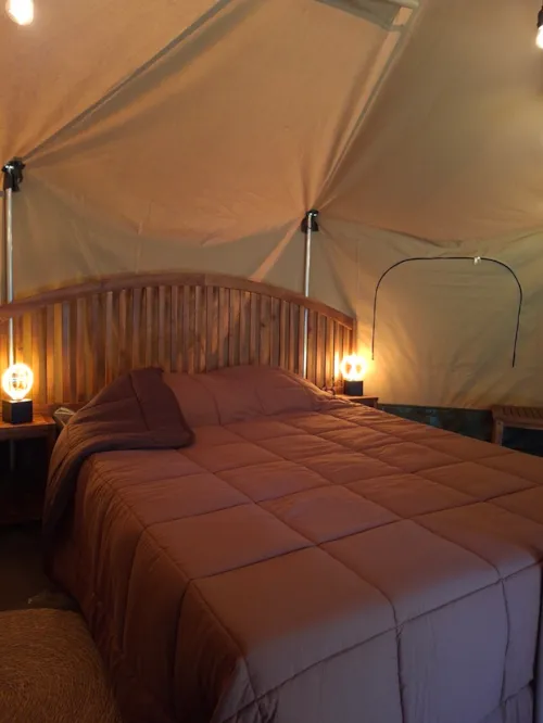 Accommodation - Steppe Yurt - image n°2 - Camping la Bissera