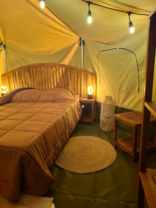 Accommodation - Steppe Yurt - image n°3 - Camping la Bissera