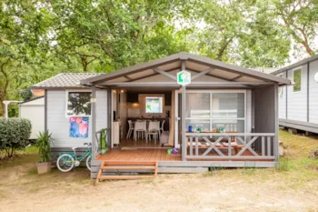 Location - Gold Chalet - 3 Chambres - - Camping Jobel 