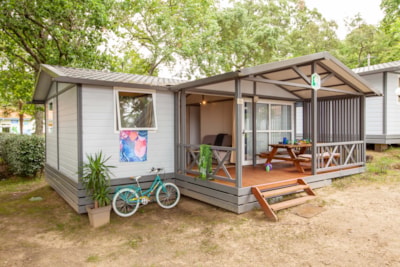 GOLD Chalet - 3 bedrooms - — 2