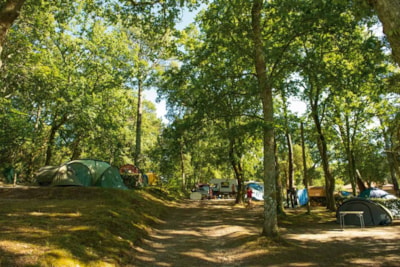 Pitch without electricity + 1 car + 1 tent or caravan - — 1
