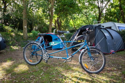Pitch without electricity + 1 car + 1 tent or caravan - — 3