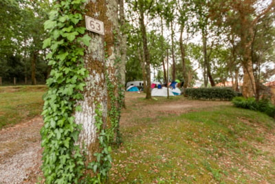Pitch without electricity + 1 car + 1 tent or caravan - — 8