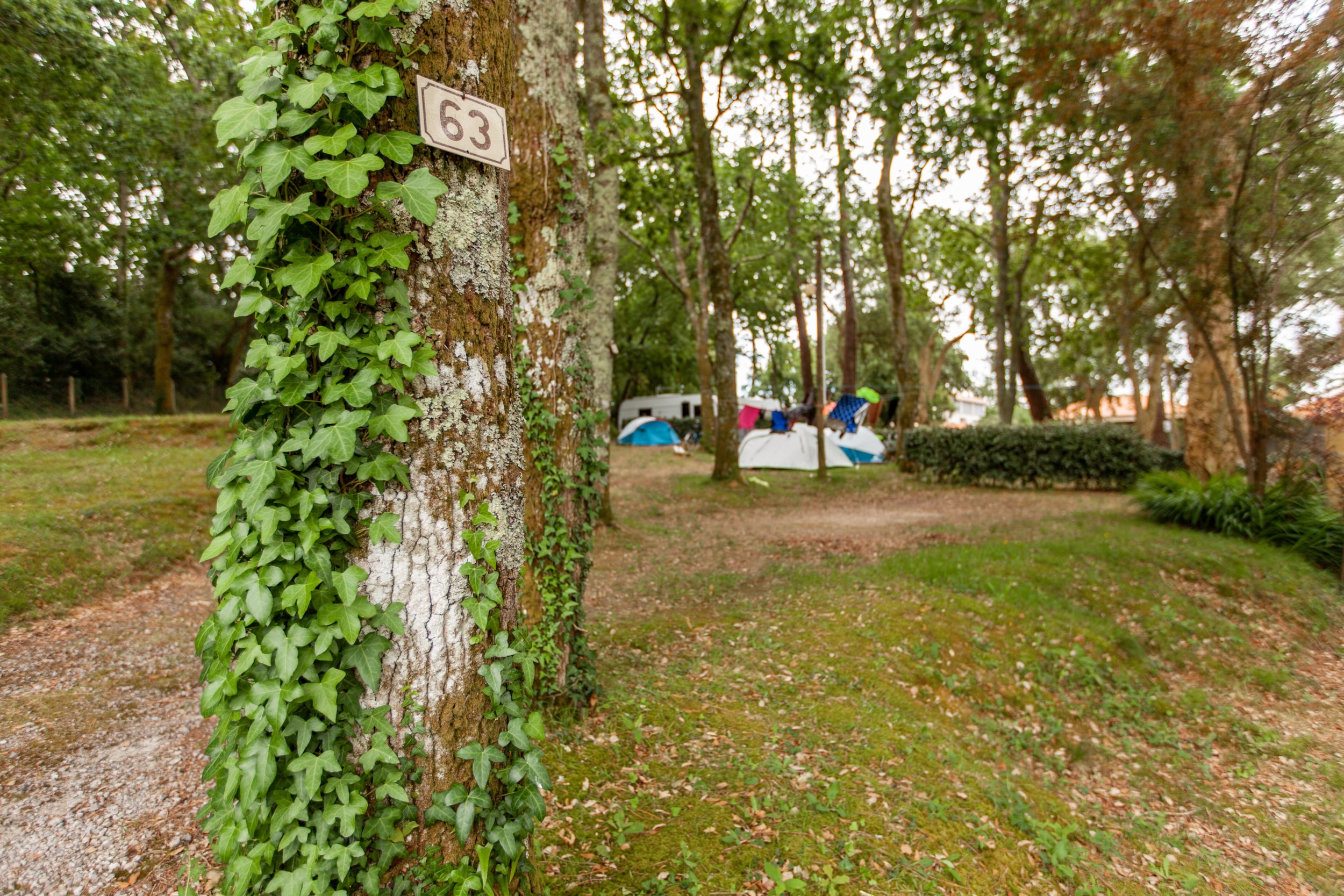 Camping Jobel  — Photo 3
