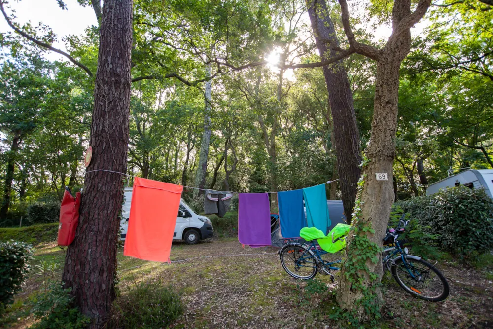 Stellplatz - Stellplatz Mit Strom  + 1 Auto + 1 Zelt Oder Wohnwagen - -  Camping Jobel 