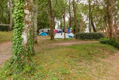 Pitch with electricity + 1 car + 1 tent or caravan — 4
