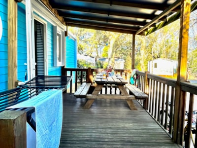 GOLD Mobile home - 2 bedrooms - — 4