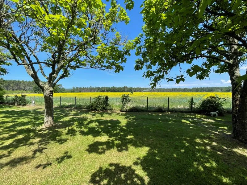 Emplacement Premium Camping Avec Électricité -