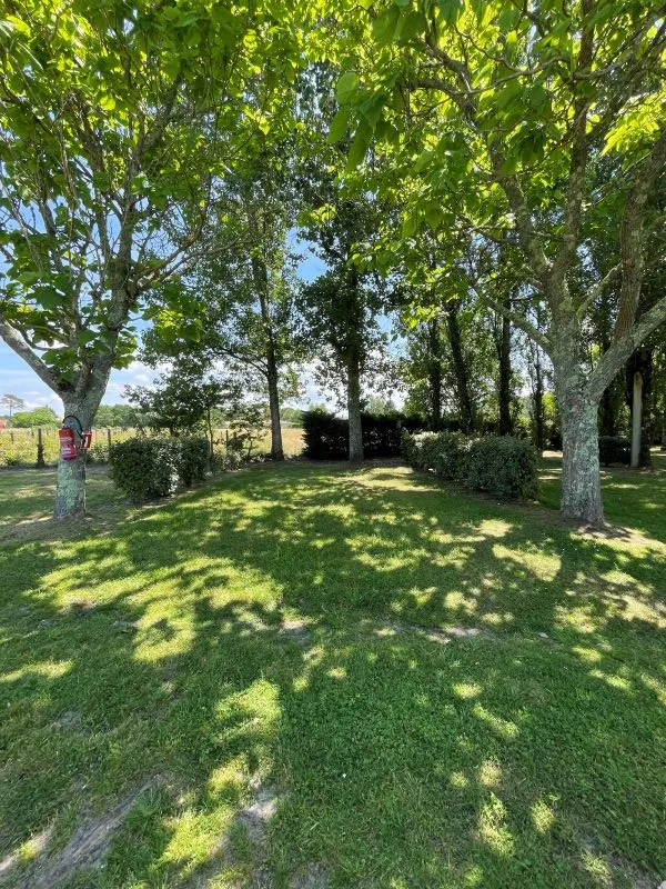 Emplacement Premium Camping Avec Électricité -