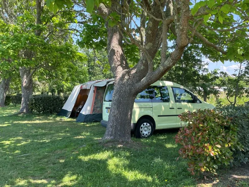 Emplacement Premium Camping Avec Électricité -