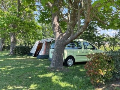 Premium Camping pitch + electricity  - — 9