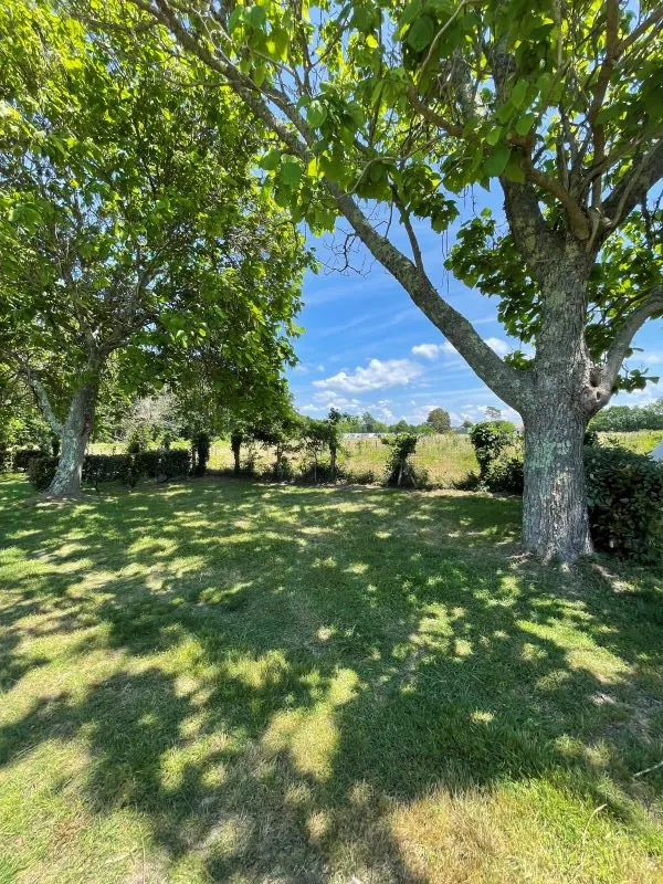 Emplacement Premium Camping Avec Électricité -