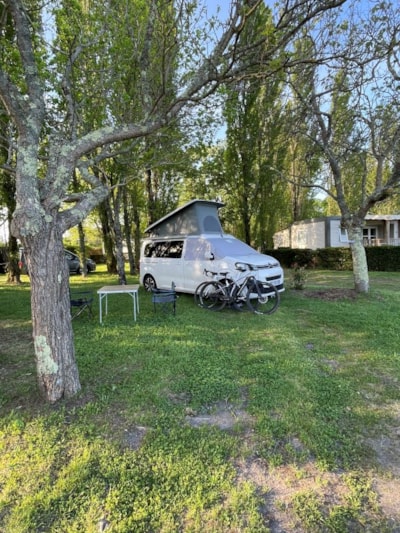 Tent pitch + electricity - — 6