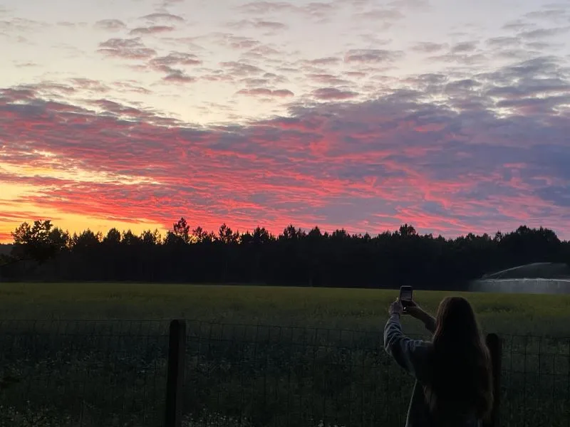 Emplacement Premium Camping Avec Électricité -