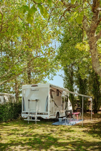Premium Camping pitch + electricity  - — 4