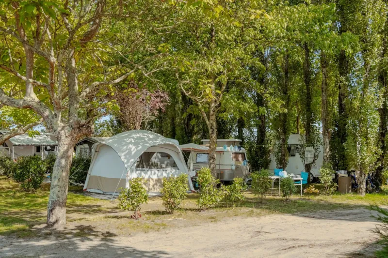 Emplacement Premium Camping Avec Électricité -