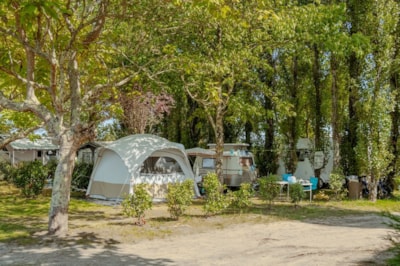 Premium Camping pitch + electricity  - — 5