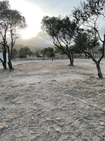 Stellplatz - Stellplatz Plus (Keine Zelte Erlaubt) - Wecamp Cadaqués 