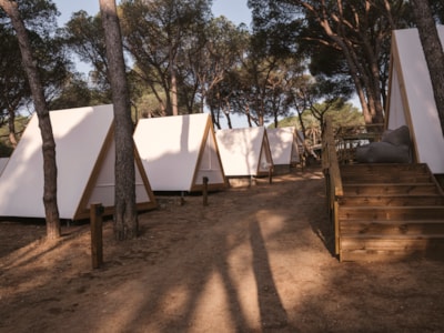 Cabin Tent — 3